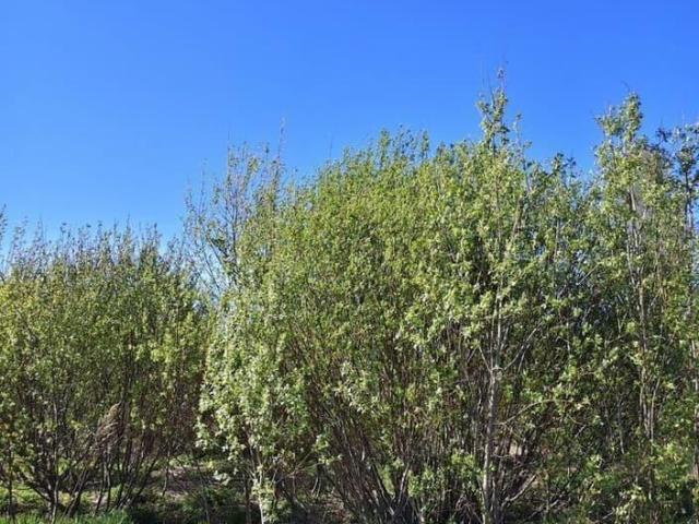 Дом продажа в Приозерск, Ленинградская область