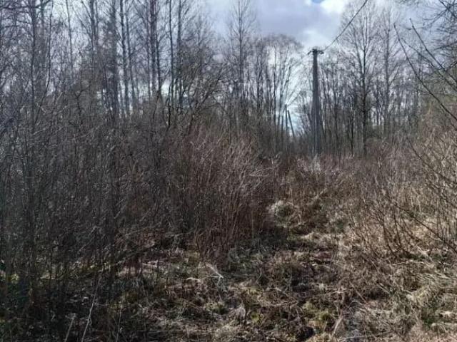 Дом продажа в Псковская область