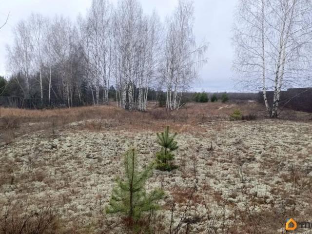 Дом продажа в Досчатое Рп, Тыва Республика