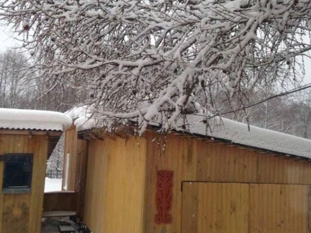 Дом продажа в Новгородская область