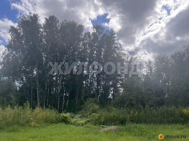 Дом продажа в Новосибирская область