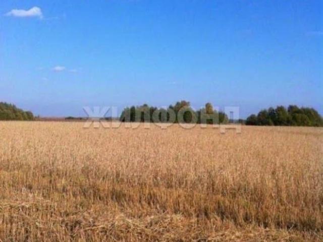 Дом продажа в Новосибирская область