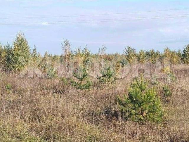 Дом продажа в Новосибирская область