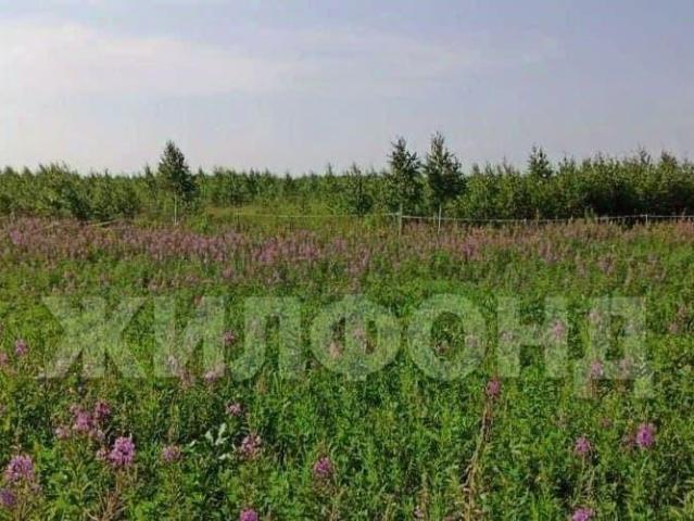 Дом продажа в Новосибирская область