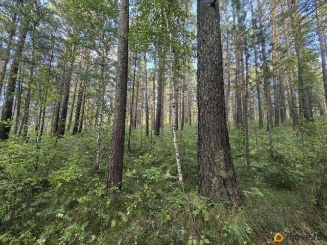 Дом продажа в Иркутский Р-н, Иркутская область