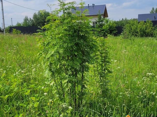 Дом продажа в Некрасовский, Кабардино-Балкарская Республика