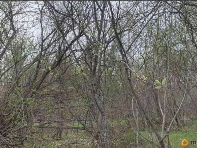 Дом продажа в Хабаровский Край