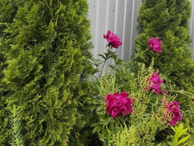 Дом продажа в Раменское, Кабардино-Балкарская Республика