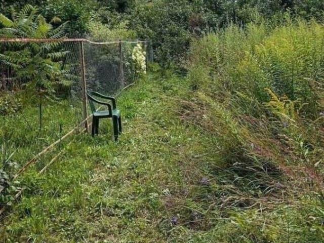 Дом продажа в Рязанская область