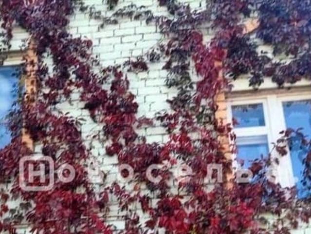Дом продажа в Рязанская область