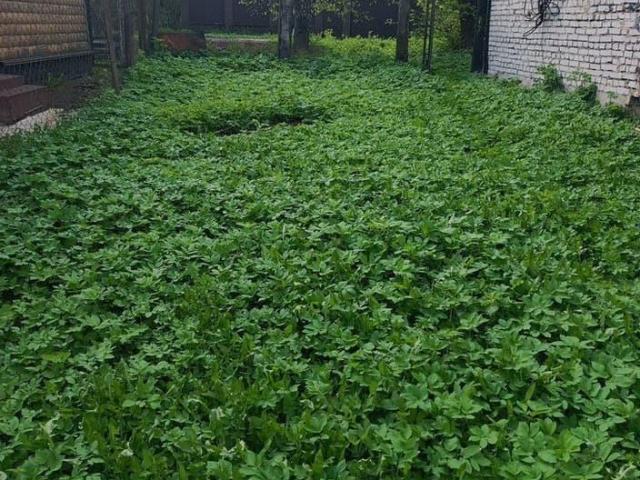 Дом продажа в Рузский Р-н, Кабардино-Балкарская Республика