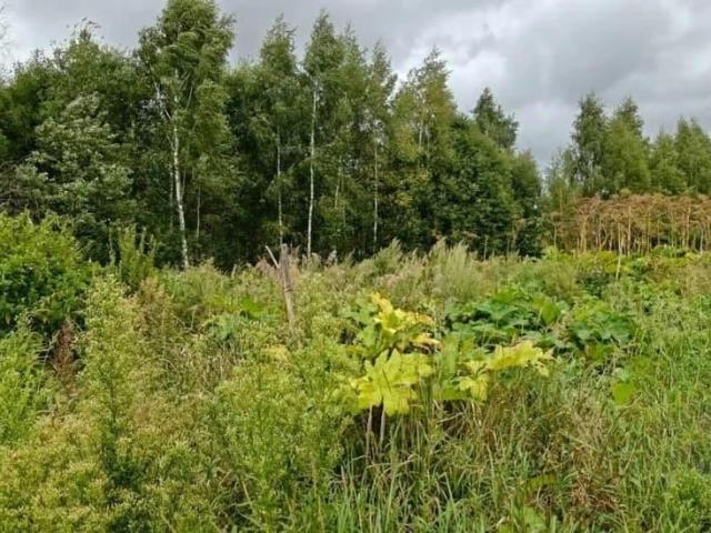 Дом продажа в Рузский Р-н, Кабардино-Балкарская Республика