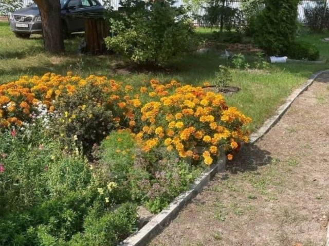 Дом продажа в Тюменская область