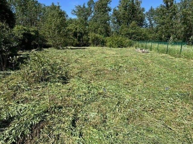 Дом продажа в Ленинградская область
