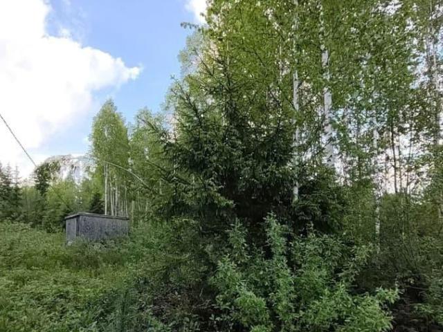 Дом продажа в Ленинградская область