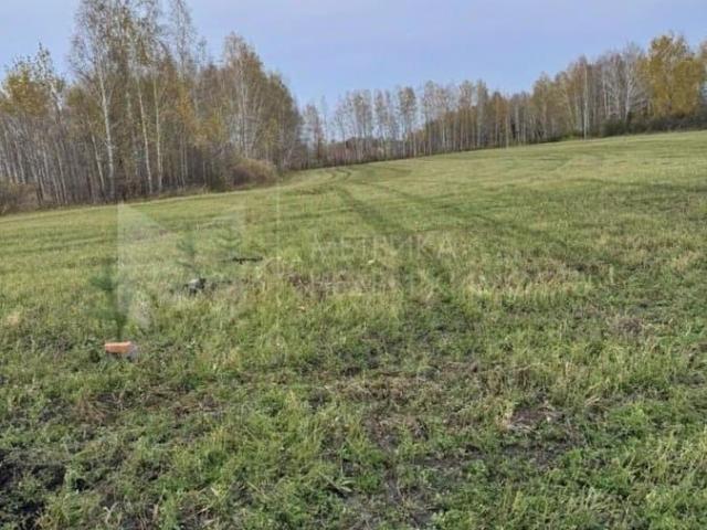 Дом продажа в Тюменская область
