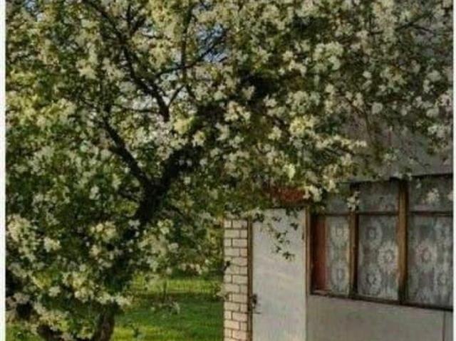 Дом продажа в Алтайский Край