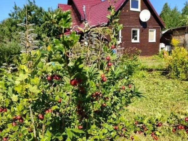 Дом продажа в Ленинградская область