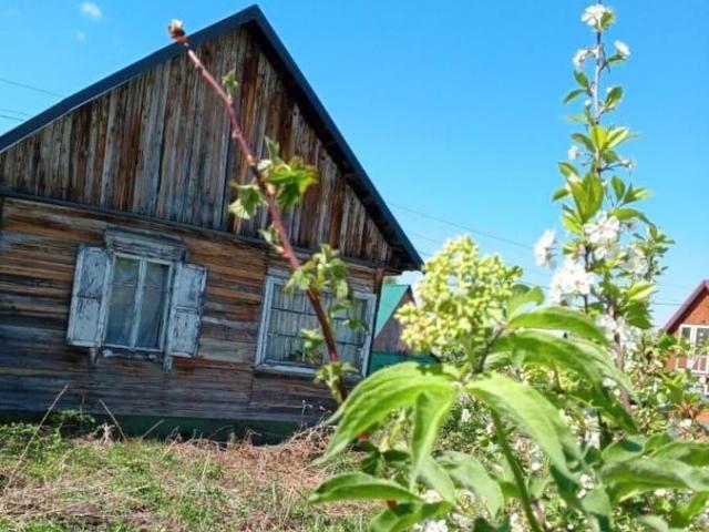 Дом продажа в Алтайский Край