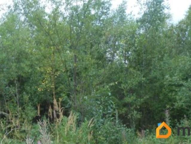 Дом продажа в Ленинградская область
