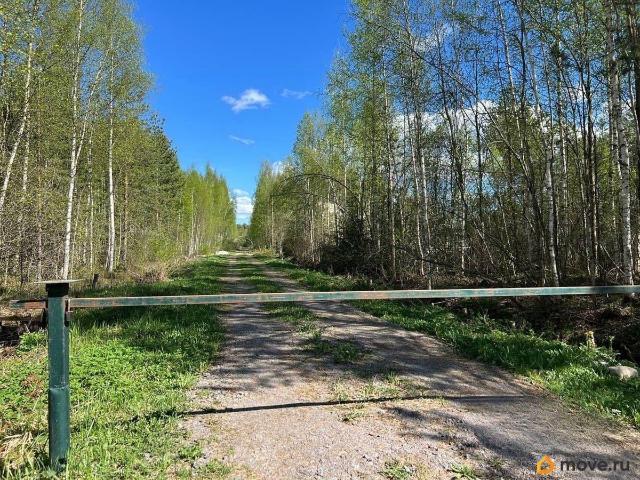 Дом продажа в Ленинградская область