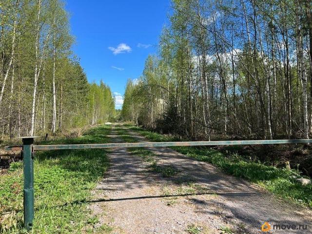 Дом продажа в Ленинградская область