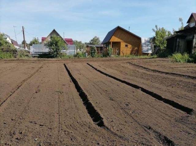 Дом продажа в Алтайский Край