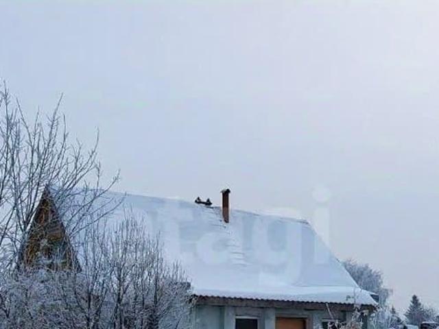 Дом продажа в Алтайский Край