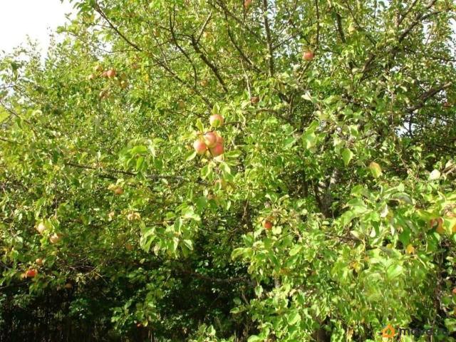 Дом продажа в Нижегородская Ст-ца