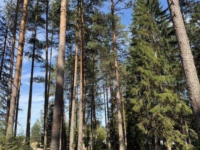 Дом продажа в Репино