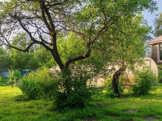 Дом продажа в Красное Село