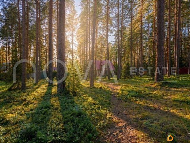Дом продажа в Комарово С