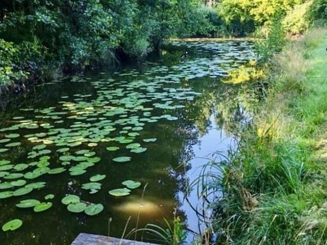 Дом продажа в Нижегородская Ст-ца