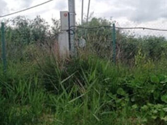 Дом продажа в Шушары