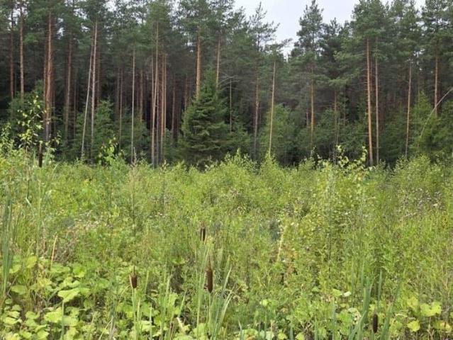 Дом продажа в Левашово