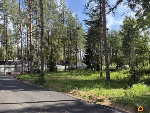 Дом продажа в Репино
