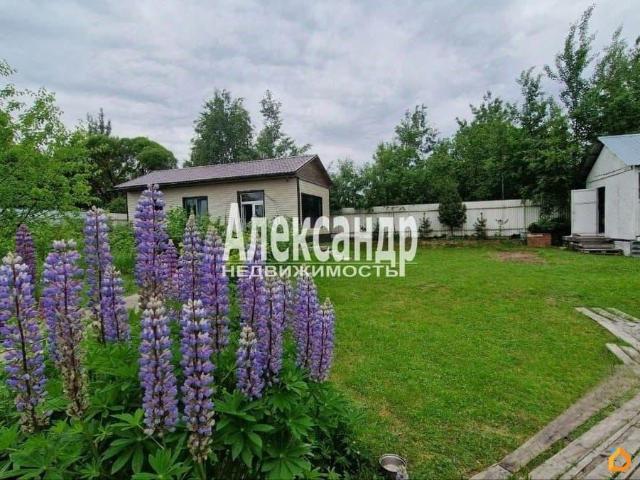 Дом продажа в Сестрорецк
