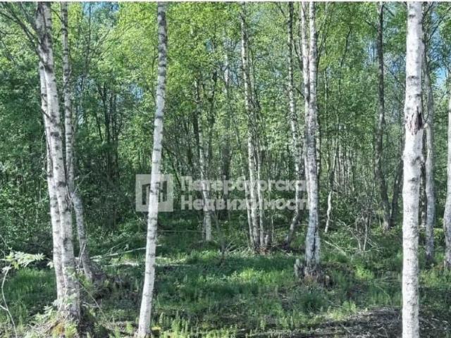 Дом продажа в Сясьстрой Г, Ленинградская область