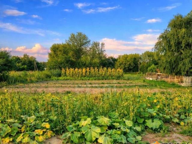 Дом продажа в Белгородская область