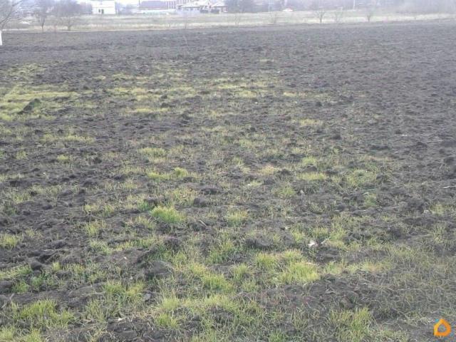 Дом продажа в Краснодарский Край