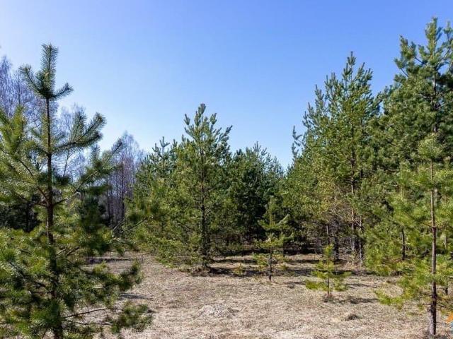 Дом продажа в Владимирская область
