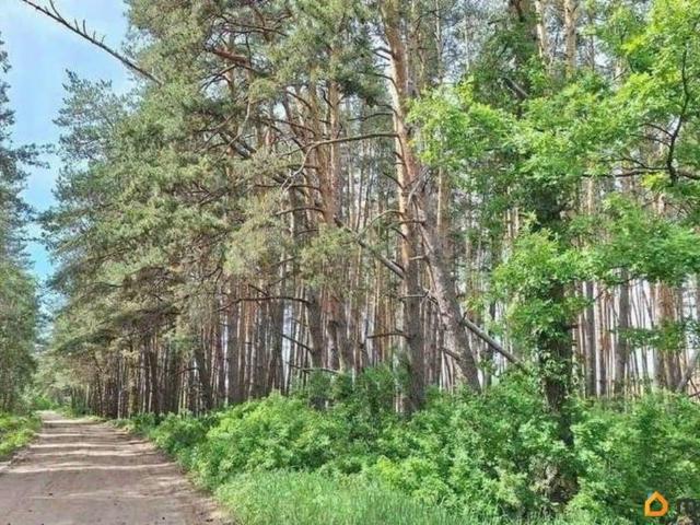 Дом продажа в Ямное, Воронежская область