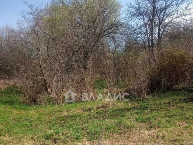Дом продажа в Владимирская область