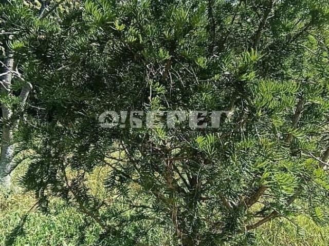Дом продажа в Архипо-осиповка С, Краснодарский Край