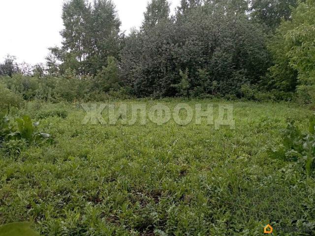 Дом продажа в Новосибирская область