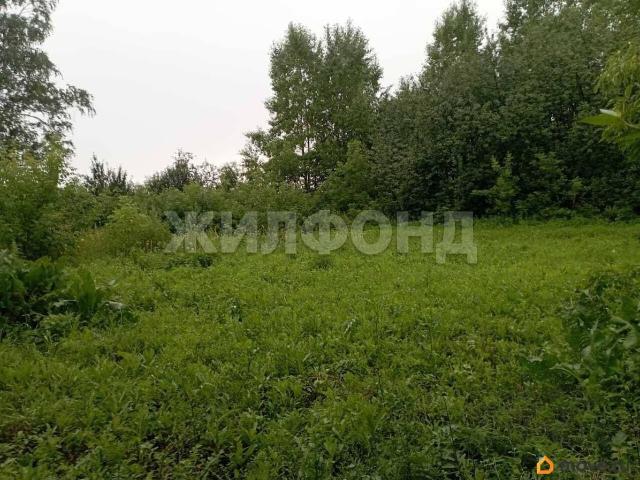 Дом продажа в Новосибирская область