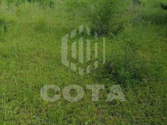 Дом продажа в Бабяково, Воронежская область