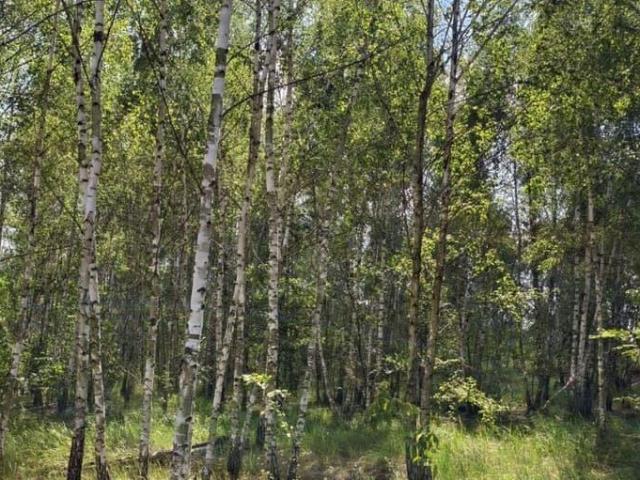Дом продажа в Бабяково, Воронежская область