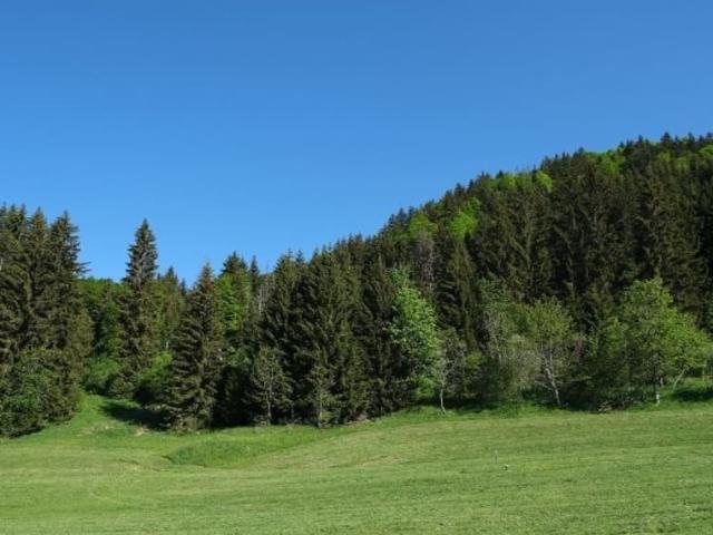 Дом продажа в Чергинское, Республика Алтай