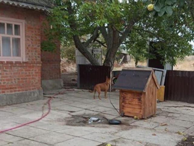 Дом продажа в Ростовская область